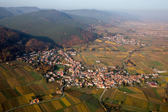 Vue aérienne de Vignes au bord du Haardt à Frankweiler dans le département Rhénanie-Palatinat, Allemagne