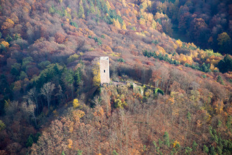 Vue aérienne de Ruines du château de Scharfenberg, appelé « Münz » à Leinsweiler dans le département Rhénanie-Palatinat, Allemagne