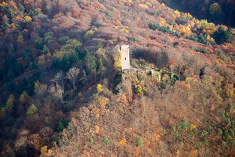 Photographie aérienne de Ruines du château de Scharfenberg, appelé « Münz » à Leinsweiler dans le département Rhénanie-Palatinat, Allemagne