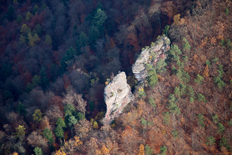 Vue aérienne de Ruines du château de Jungturm à Leinsweiler dans le département Rhénanie-Palatinat, Allemagne