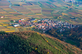 Vue aérienne de Ville viticole de l'ouest à Eschbach dans le département Rhénanie-Palatinat, Allemagne