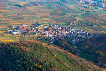 Vue aérienne de Ville viticole de l'ouest à Eschbach dans le département Rhénanie-Palatinat, Allemagne