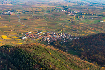 Photographie aérienne de Ville viticole de l'ouest à Eschbach dans le département Rhénanie-Palatinat, Allemagne