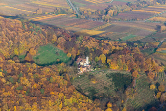 Vue aérienne de Ensemble de bâtiments du musée Slevogthof à Leinsweiler dans le département Rhénanie-Palatinat, Allemagne