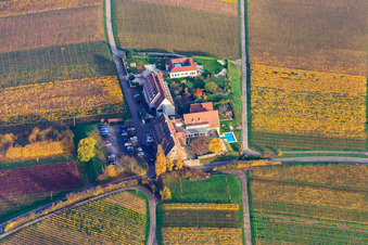 Vue aérienne de Hôtel Leinsweiler dans la cour des feuilles d'automne à Leinsweiler dans le département Rhénanie-Palatinat, Allemagne