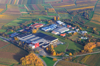 Vue aérienne de Domaine viticole Kleine Kalmit à Ilbesheim bei Landau dans le département Rhénanie-Palatinat, Allemagne