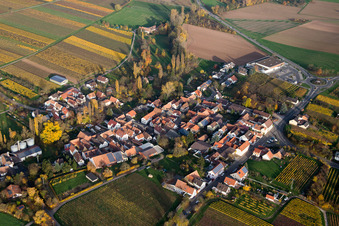 Quartier Appenhofen in Billigheim-Ingenheim dans le département Rhénanie-Palatinat, Allemagne depuis l'avion
