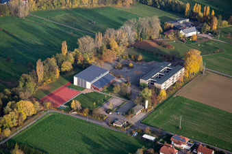 Photographie aérienne de Quartier Ingenheim in Billigheim-Ingenheim dans le département Rhénanie-Palatinat, Allemagne