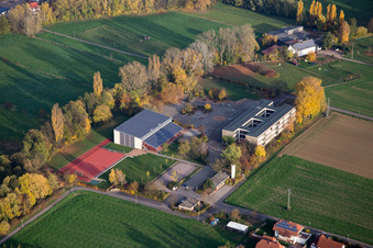 Vue oblique de Quartier Ingenheim in Billigheim-Ingenheim dans le département Rhénanie-Palatinat, Allemagne