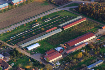 Vue aérienne de Stockage de bois à Klärstr à Kandel dans le département Rhénanie-Palatinat, Allemagne