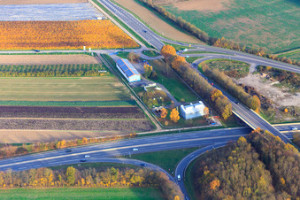 Vue aérienne de Réseau d'eau Kandel à Kandel dans le département Rhénanie-Palatinat, Allemagne