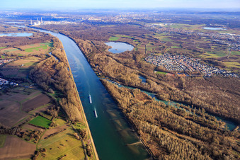 Vue aérienne de Cours du Rhin à l'embouchure de l'Auer Althrein à Au am Rhein dans le département Bade-Wurtemberg, Allemagne