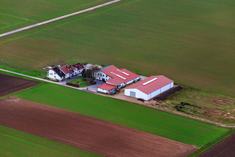 Vue aérienne de Domaine viticole et vin mousseux Rosenhof à Steinweiler dans le département Rhénanie-Palatinat, Allemagne