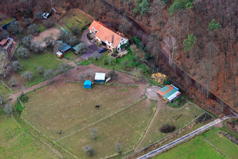 Vue aérienne de Appartement de vacances Saigenranch à Pleisweiler-Oberhofen dans le département Rhénanie-Palatinat, Allemagne