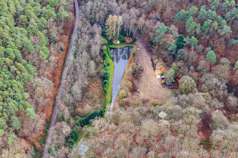 Vue aérienne de Étang à poissons dans la forêt du Palatinat à Pleisweiler-Oberhofen dans le département Rhénanie-Palatinat, Allemagne