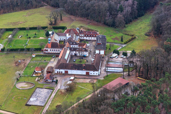 Photographie aérienne de Pension pour chevaux au monastère de Liebfrauenberg à Bad Bergzabern dans le département Rhénanie-Palatinat, Allemagne
