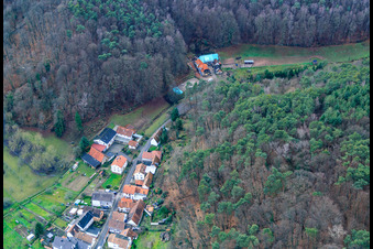 Vue aérienne de Oberdorfstraße avec l'école canine Heldenmühle à Oberotterbach dans le département Rhénanie-Palatinat, Allemagne