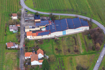 Vue aérienne de Domaine viticole Emil Wissing GmbH à Oberotterbach dans le département Rhénanie-Palatinat, Allemagne