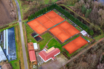 Vue aérienne de Courts de tennis et restaurant chez Bienwald et Waldhof-Frey GmbH à Steinfeld dans le département Rhénanie-Palatinat, Allemagne