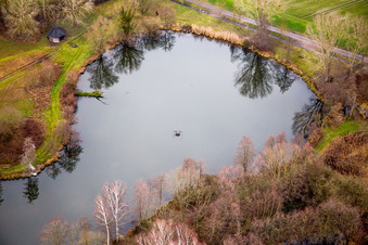 Vue aérienne de Étangs biotopes en hiver avec arbres de rivage à Steinfeld dans le département Rhénanie-Palatinat, Allemagne