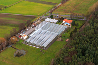 Vue aérienne de Terre de cactus Steinfeld à Steinfeld dans le département Rhénanie-Palatinat, Allemagne