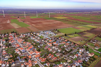 Vue aérienne de Holzgasse à Minfeld dans le département Rhénanie-Palatinat, Allemagne