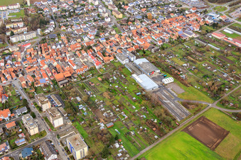 Vue aérienne de Parcelles de jardin d'Unterkandler à Kandel dans le département Rhénanie-Palatinat, Allemagne