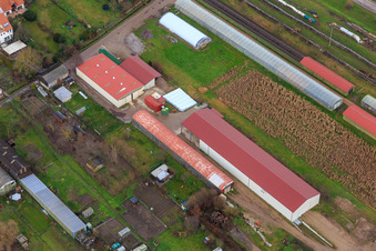Vue aérienne de Halles agricoles à Ettenbaum à Kandel dans le département Rhénanie-Palatinat, Allemagne
