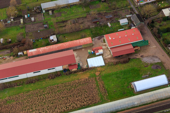Photographie aérienne de Halles agricoles à Ettenbaum à Kandel dans le département Rhénanie-Palatinat, Allemagne