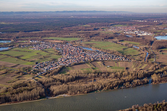 Vue aérienne de Du sud-est à Neuburg am Rhein dans le département Rhénanie-Palatinat, Allemagne