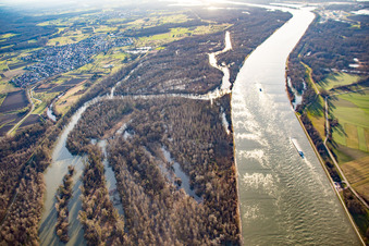 Vue aérienne de Auer Köpfle Illinger Altrheinauen à Au am Rhein dans le département Bade-Wurtemberg, Allemagne