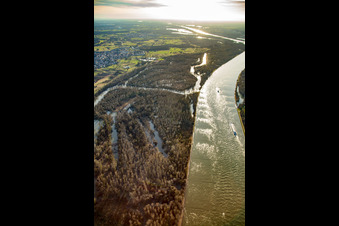 Photographie aérienne de Auer Köpfle Illinger Altrheinauen à Au am Rhein dans le département Bade-Wurtemberg, Allemagne