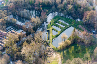 Vue aérienne de Zones riveraines des étangs de pisciculture de la Lauter à Scheibenhard dans le département Bas Rhin, France