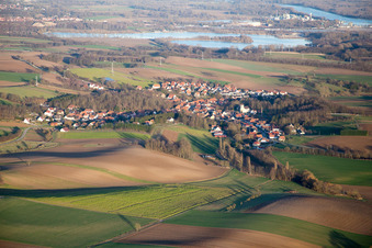 Neewiller-près-Lauterbourg dans le département Bas Rhin, France vue du ciel