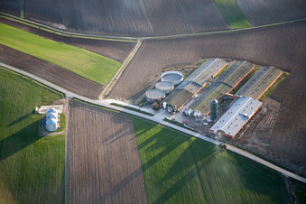 Vue aérienne de Oberlauterbach dans le département Bas Rhin, France