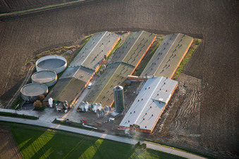 Vue aérienne de Oberlauterbach dans le département Bas Rhin, France