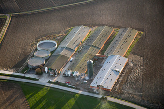 Photographie aérienne de Oberlauterbach dans le département Bas Rhin, France