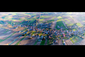 Vue aérienne de Champs agricoles et terres agricoles à Wintzenbach dans le département Bas Rhin, France