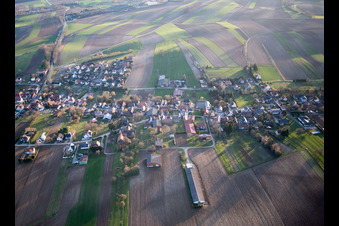 Vue d'oiseau de Wintzenbach dans le département Bas Rhin, France