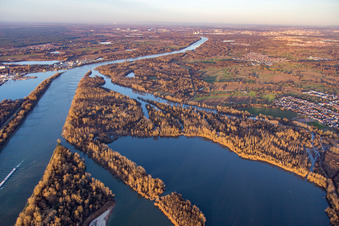 Vue aérienne de Ilingen, canal de l'or à Elchesheim-Illingen dans le département Bade-Wurtemberg, Allemagne