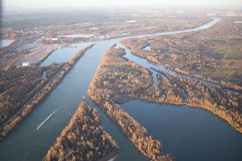 Vue aérienne de Parcours du canal et zones riveraines de la voie navigable intérieure du Canal de l'Or vers le Rhin à Elchesheim-Illingen dans le département Bade-Wurtemberg, Allemagne