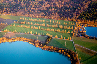 Vue aérienne de Zones riveraines hivernales dans la zone du lac de l'étang de gravier avec des rangées de peupliers et des lignes électriques à haute tension dans la lumière du soir à Durmersheim dans le département Bade-Wurtemberg, Allemagne