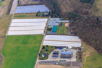 Vue aérienne de Eichenhof par Karl Schewes à Hanhofen dans le département Rhénanie-Palatinat, Allemagne