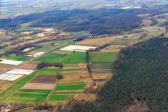 Vue aérienne de Restaurant zur Aumühle à Haßloch dans le département Rhénanie-Palatinat, Allemagne