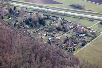 Vue aérienne de Jardins familiaux au bord du canal de Saalbach à le quartier Graben in Graben-Neudorf dans le département Bade-Wurtemberg, Allemagne