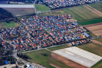 Vue aérienne de Dans les carrières d'argile à Rheinzabern dans le département Rhénanie-Palatinat, Allemagne
