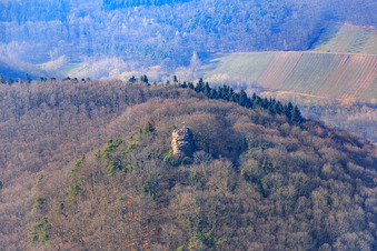 Vue aérienne de Ruines du château de Neukastel à Leinsweiler dans le département Rhénanie-Palatinat, Allemagne