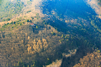 Vue aérienne de Ringelsberghütte au-dessus de Frankweiler à Frankweiler dans le département Rhénanie-Palatinat, Allemagne