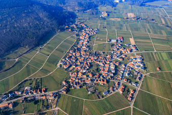 Vue aérienne de Ville viticole au bord du Haardt au sud à Weyher in der Pfalz dans le département Rhénanie-Palatinat, Allemagne