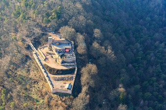 Ruines du château de Rietburg à Rhodt unter Rietburg dans le département Rhénanie-Palatinat, Allemagne d'en haut
